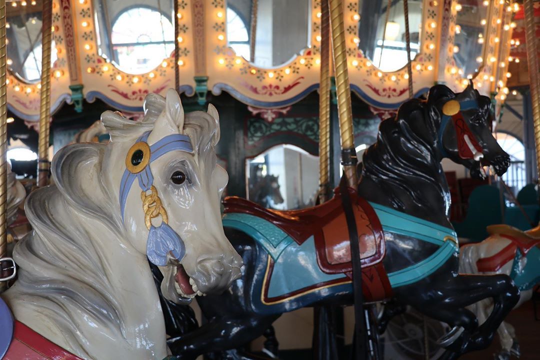 Local’s Night on the @santamonicapier returns on September 15th to celebrate 100 years of the Carousel Horses.🎠 Guests love the rare chance to ride one of the few original merry-go-rounds left from the golden age of seaside entertainment.  📸: @campingwithclarky
.
.
.
#santamonicapier #santamonica #events #livemusic #pacpark #pacificpark #losangeles