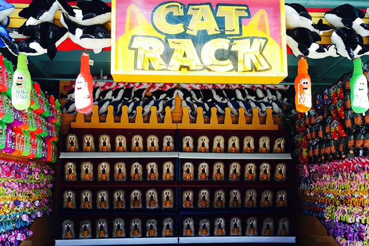 pacific park cat rack game